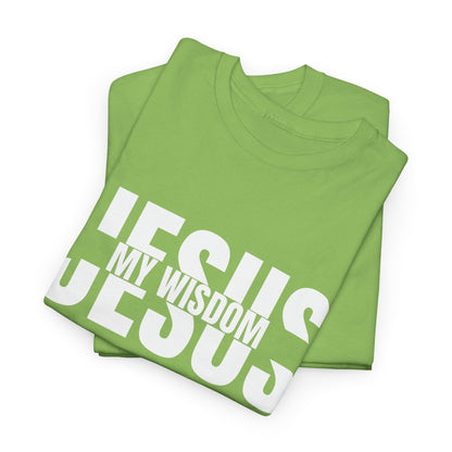 Jesus My Wisdom T-Shirt - Inspirational Christian Apparel